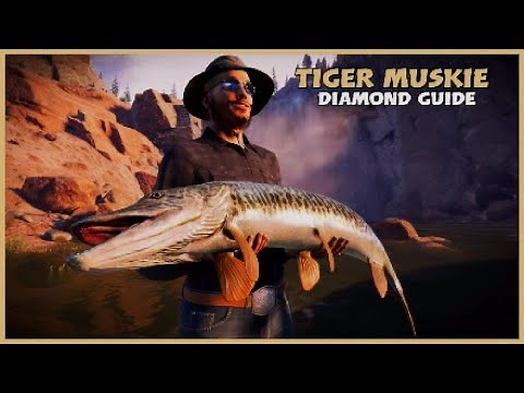 The ANGLER | Diamond Tiger Muskie Guide