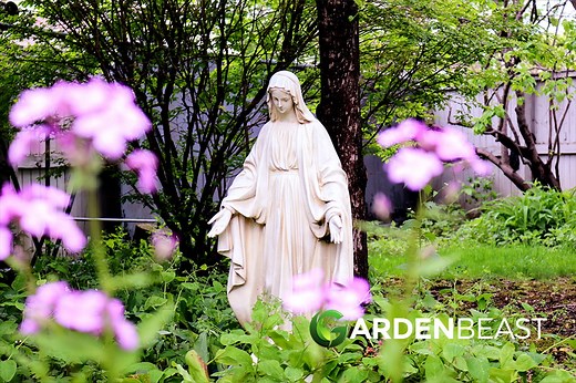 What is a Mary Garden? How to Create One? All You Need to Know