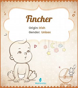 Fincher Name Meaning, Origin, History, And Popularity