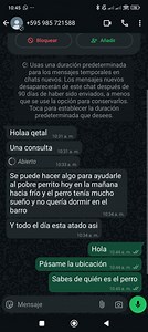 2da parte del post anterior. Seguimos monitoreando casos de maltratos. Gracias a todos los que denuncian. Nunca se cansen de hacerlo. Aveces estamos sobrecargados pero hacemos lo que podemos. Gracias por la comprensión 🥺 | Sociedad Protectora de Animales Villarrica/Paraguay
