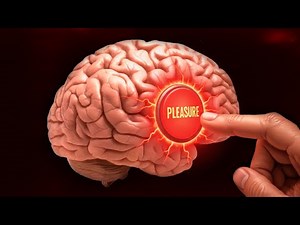 Dopamine: How It Controls Your Life