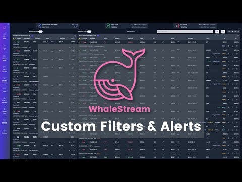 How to: Custom Option Flow & Dark Pool Filters & Alerts With WhaleStream