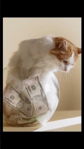 The Secret Language of Cats: Chirping to Hunt!