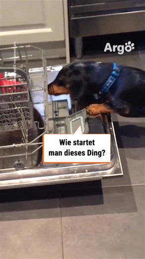 „Mensch, schalte das Ding ein“ 🤣 | Argo Deutschland