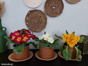 10 ιδέες για γλάστρες και κατασκευές με ανακυκλώσιμα υλικά