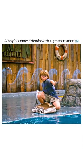 Entertaining Scow on Instagram: "🎬 Free Willy (1993) 📖 Summary Directed by Simon Wincer, Free Willy tells the heartwarming story of Jesse, a troubled young boy who forms an extraordinary bond with Willy, an 18-ton captive orca. When Jesse discovers that the owners plan to harm Willy for insurance money, he risks everything to set his friend free. The film beautifully blends friendship, rebellion, and the fight for freedom — making it one of the most iconic animal-adventure stories ever made. �