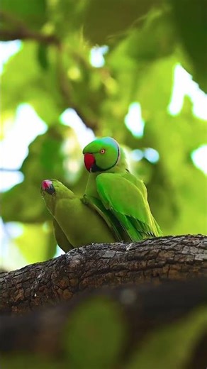 Love and romance involve deep emotional connections marked by passion, attraction, and