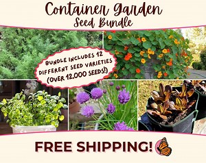 CONTAINER GARDEN Seed Bundle | 12 Unique Seed Packets for Growing Container-friendly Vegetables, Herbs & Flowers, Patio/balcony Pot Gardens - Etsy