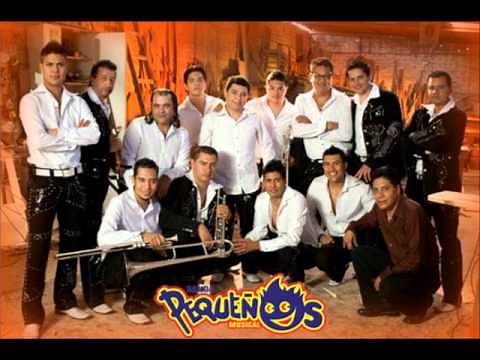 Ni Un Adios - Banda Pequeños Musical