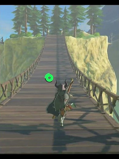 Zelda Breath Of The Wild Master Mode BOTW #shorts 15