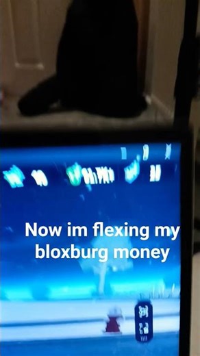 ~•.flexing my bloxburg money.•~