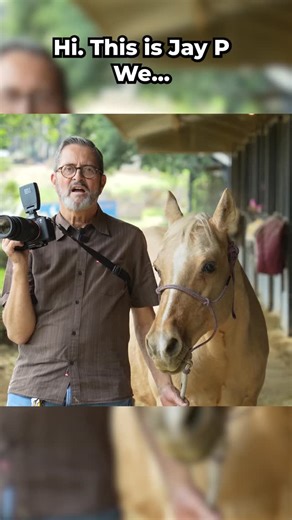 The Slanted Lens on Instagram: "Wide To Tele All-in-one Zoom - Tamron 25-200mm Lens Review. This all-in-one zoom has been a progressive process for Tamron since the 90s. An f/2.8-5.6, a great all-in-one zoom. https://youtu.be/0PtEnCzhyxQ @Tamron-Americas #WithMyTamron #Tamron25-200mm #ZoomLens #BestTravelLens"