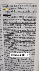 You Shall have no other gods before me. #bibleverse #FearGod #GodsWord #delightintheLord #fbreelsvideo | The Bible Verses