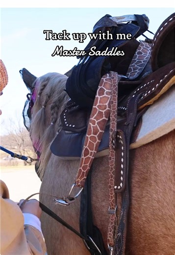Master Saddle Insights: 160 Rides and Barrel Racing Fun