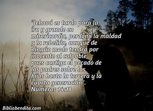 Explicación Números 14:18. 'Jehová es tardo para la ira y grande en misericordia, perdona la maldad y la rebelión, aunque de ningún modo tendrá por inocente al culpable, pues castiga el pecado de los padres sobre los hijos hasta la tercera y la cuarta generación".' - BibliaBendita