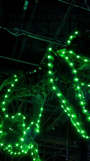 Dig deeper into paleontology this weekend at Fossil Fest! Unearth the fascinating world of ancient creatures through fossil digs, interactive exhibits, and fun activities that bring the science of the past to life. Meet real paleontologists, examine fossils, and learn how scientists uncover the secrets of Earth’s history - one bone at a time! All of this AND MORE is happening December 27 & 28 right here at Orlando Science Center. Fossil Fest is included with general admission. Get tickets today!