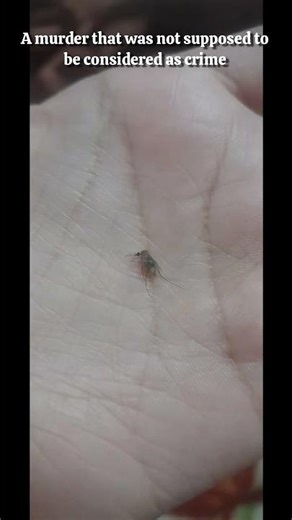 It is a victory ✌️ #relatable #mosquito #victory #heheverse #trending