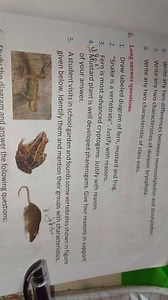 Write any two differences between monocotyledon and dicotyledon... | Filo