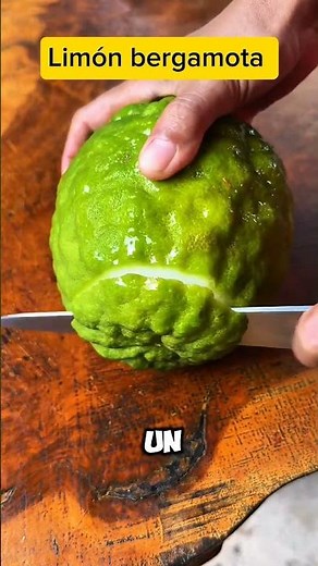 ¿Ya conoces la bergamota? Tu nuevo imprescindible del calor 🌿🍋 #frutas #datoscurisos #agriculture