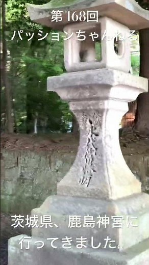#茨城県 #鹿嶋市 #鹿島神宮 #観光スポット #旅行動画 #一人旅 #travel #茨城旅行 #茨城観光 #ibaraki #北関東 #パワースポット #神社 #神社仏閣巡り #shorts