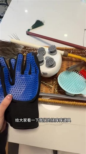 TK沉浸式挠痒痒