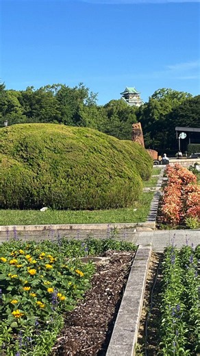 今朝、久しぶりに大阪城公園を散歩しました。爽やかな朝のひと時でした。