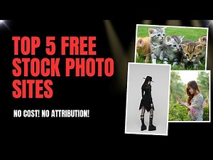 Top 5 Free Stock Photo Websites You Should Use