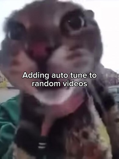 Playboi Carti in a New Autotune Remix with Cats