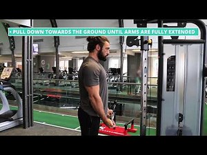 How To Do Reverse Grip Triceps Pushdown | Exercise Demo