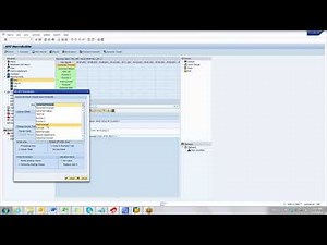 SAP SCM Video 2