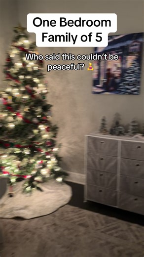 Downsizing to a Peaceful One Bedroom Home