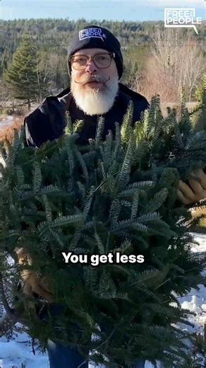 What does Ludwig von Mises have to do with Christmas trees? In this throwback to 2022, Matt Kibbe explains. Day 7 of 12. | Liberty.me