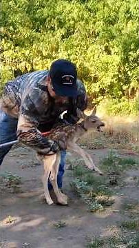 Baby deer stuck in a hole, watch what happens next 🦌❤️ #rescue #deer