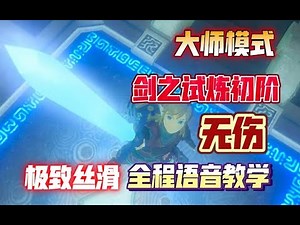 【塞尔达传说 zelda botw】大师模式剑之试炼初阶无伤通关教程 Trail of Sword begining trail no damage