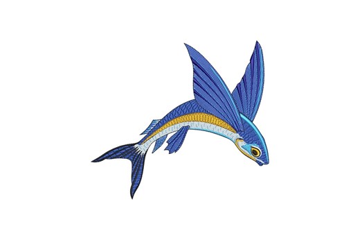 Flying Fish Machine Embroidery Design, Tropical Sea Animal File, Ocean Marine Life, Instant Download - Etsy