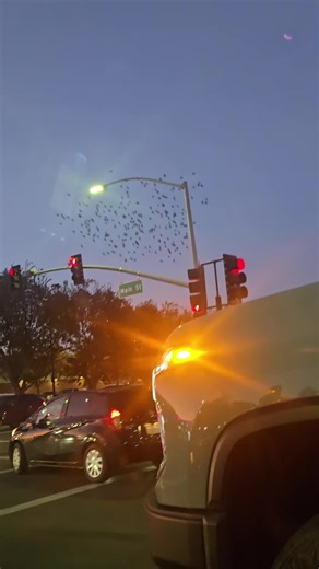 Tia Maria (@maria.mama.disney.queen)’s videos with sonido original - Tia Maria