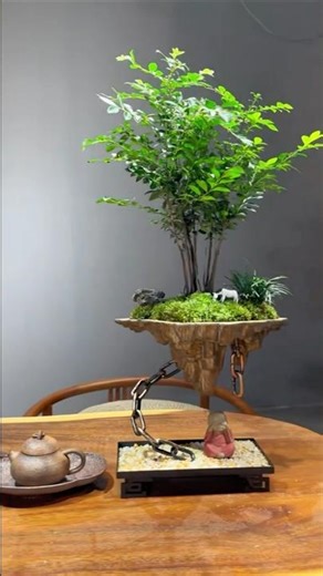 Top Timeless Bonsai Styles - #bonsai 156