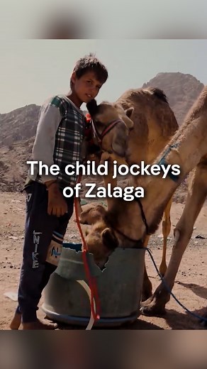 DW Documentary on Instagram: "The annual camel race in Zalaga, in the south of the Egyptian Sinai Peninsula, is one of the oldest and most famous in the world. Every year, children between the ages of 5 and 15 are selected to ride camels to take part in this centuries-old Bedouin tradition. Most of them come from impoverished backgrounds and hope the job will earn them some money. Far away from his home and his family, Abdullah trains daily under challenging conditions, with the aim of earning s