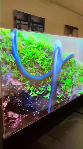 Transparent OLED Displays