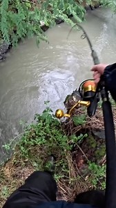 84K views · 921 reactions | It is amazing to find fish of this species in such a small stream!Here I’m using the brand new SPORTEX CATFIRE CS-2 270cm ----#siluro #welscatfish #siluroitalia #siluroglanis #waller #silure #catfishing #catfishingitalia #spinningcatfish #silurospinning #siluromania #verticalsiluro #breakline #breaklinefishing #predator #sportex #turbocat #catfire #wels #pecheausilure #clonk #huchendelux #thoraxfishing #fishingitalia #welscatfishing | Thorax_fishing | Facebook