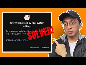 Your MIc is Muted by Your System Settings FIX - UPDATED 2026