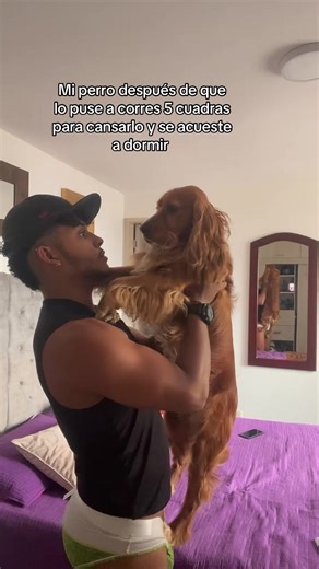 Perro con energía infinita: no se cansa