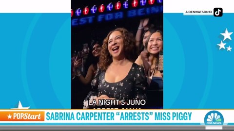 Sabrina Carpenter 'Arrests' Miss Piggy for Final Show of Tour