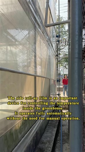 Effective Greenhouse Cultivation Techniques