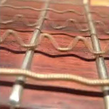 What guitar strings are really doing up close