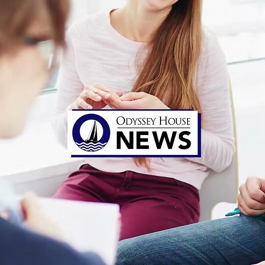 What Is a Therapeutic Community Structure?