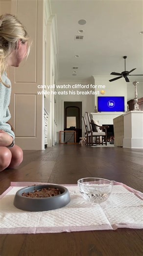 Clifford's Breakfast Time with Mini Dachshund