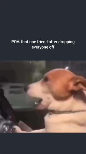 @kugcit on Instagram: "interesting fact about dora the explorer: this iconic nickelodeon animated series follows dora, a brave, adventurous young latina girl, and her loyal monkey backpack buddy boots as they go on exciting quests to help friends, solve problems, and explore new places. with her signature purple backpack, map that talks, and interactive style that asks viewers to shout answers, count, or point directions, dora teaches kids spanish words, problem-solving, teamwork, and confidence