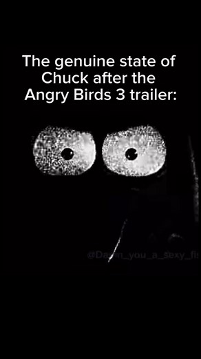 Angry Birds: Chuck's 'That's My Sister' Wedding Reaction Explained