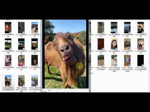 50 Funny Short Clips | Viral Comedy Videos for Content Creators